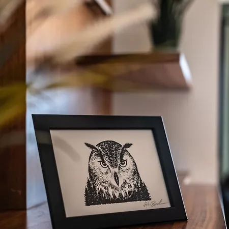 Mit Terrasse * Drezda