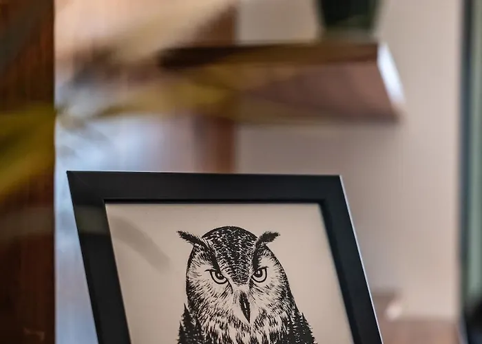 Mit Terrasse * دريسدن